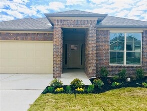 18313 Calasetta Dr in Pflugerville, TX - Building Photo - Building Photo