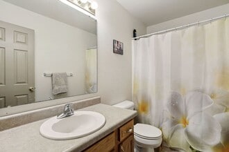 805 S Sunny Ln in Urbana, IL - Building Photo - Building Photo