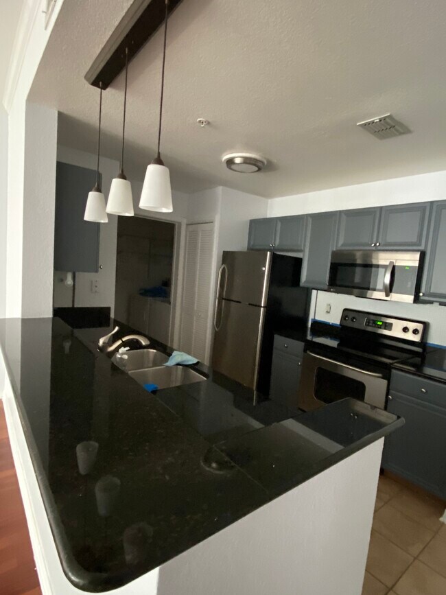 700 S Harbour Island Blvd Rentals in Tampa, FL