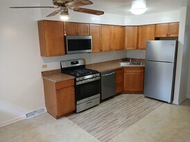 211 N Bothwell St in Palatine, IL - Building Photo