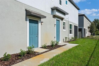 10801 Fowlers Blf Ct in Tampa, FL - Foto de edificio - Building Photo