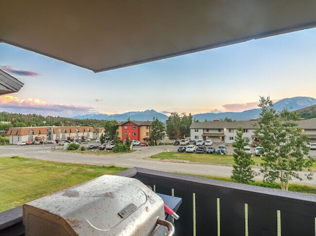 0763 Straight Creek Dr in Dillon, CO - Building Photo - Building Photo