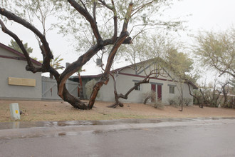 Belmont Manor in Phoenix, AZ - Building Photo - Building Photo