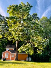 256 Shelburne Falls Rd in Conway, MA - Building Photo - Building Photo