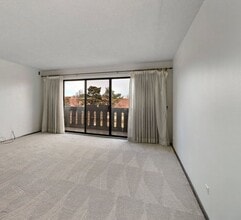 13200 W Heiden Cir in Lake Bluff, IL - Building Photo - Building Photo