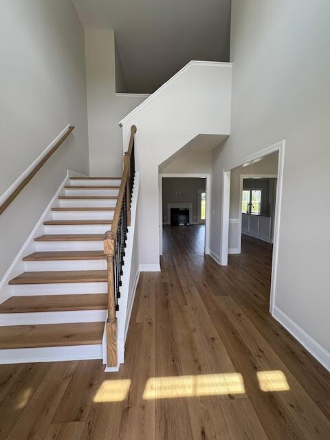 916 Finn Ct in Greenville, NC - Building Photo - Building Photo