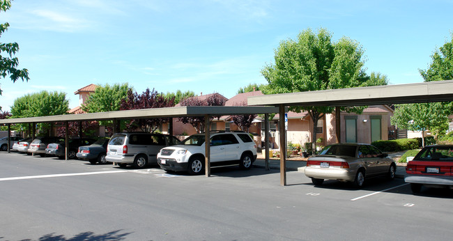 Vinecrest Senior Apartments in Windsor, CA - Building Photo - Building Photo