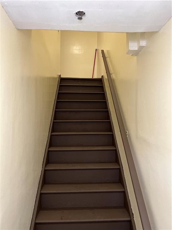 773 Drew St in Brooklyn, NY - Building Photo - Building Photo