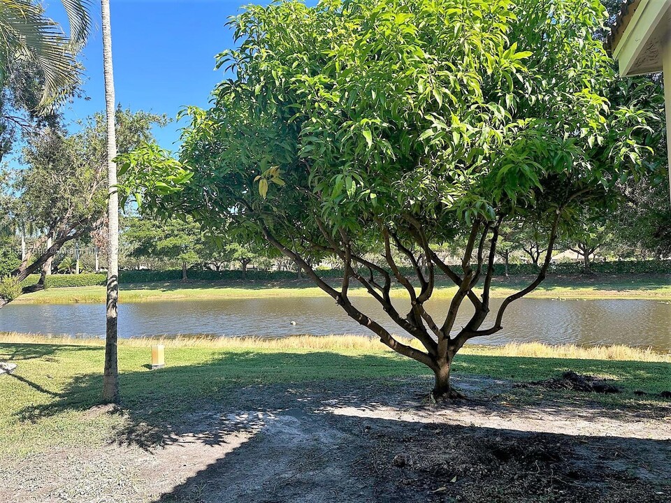 1074 Bluewood Terrace in Weston, FL - Building Photo