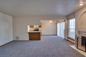 196 Park Ridge Ln in Aurora, IL - Building Photo - Building Photo