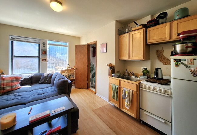 1504 N Dearborn Pkwy in Chicago, IL - Building Photo - Building Photo