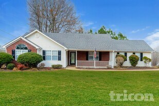 207 Crystal Ct in Hampton, GA - Building Photo