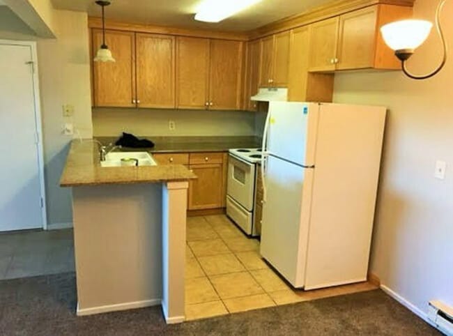 property at 1333 N Camino Alto