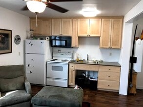 The Chalet in Minneapolis, MN - Building Photo - Building Photo