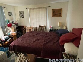 77 Thingvalla Ave in Belmont, MA - Building Photo