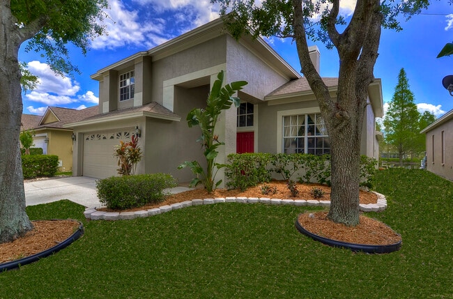11816 Easthampton Dr in Tampa, FL - Building Photo - Building Photo