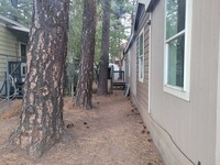 4432 E Winter Dr in Flagstaff, AZ - Building Photo - Building Photo