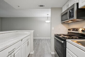 Serenity Lake Apartments in Tampa, FL - Building Photo - Building Photo