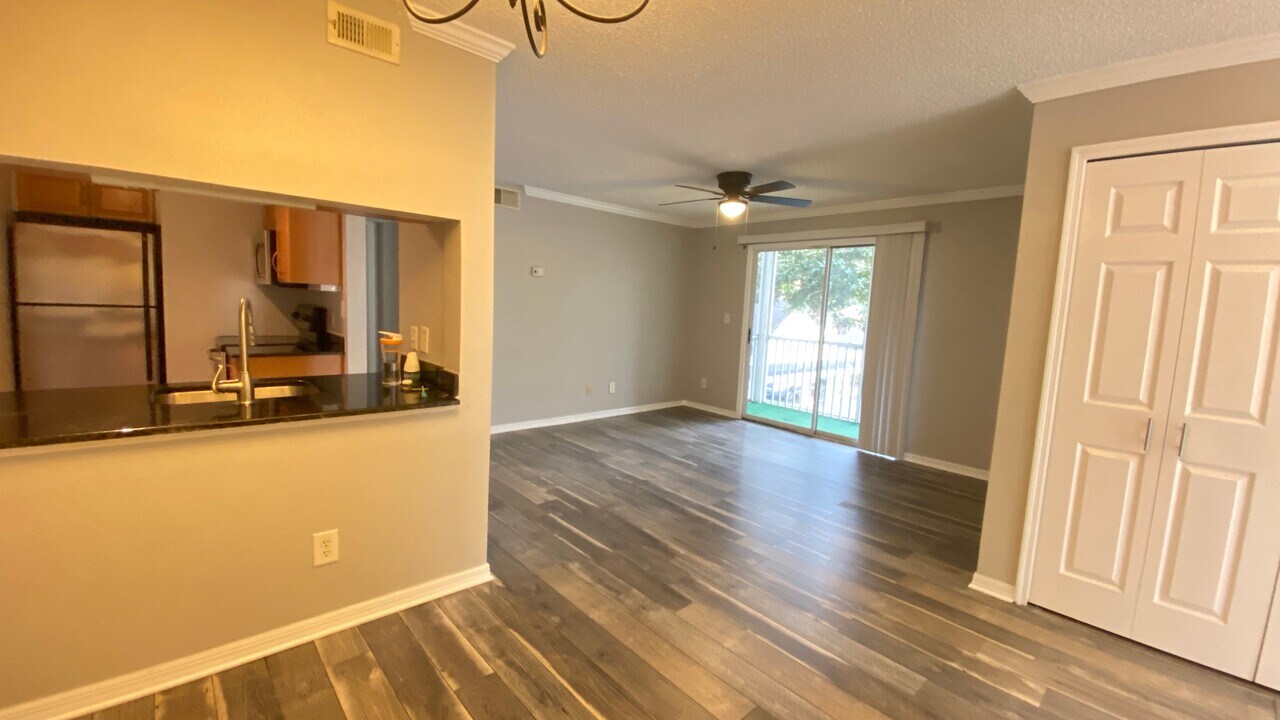3311 Haviland Ct in Palm Harbor, FL - Building Photo