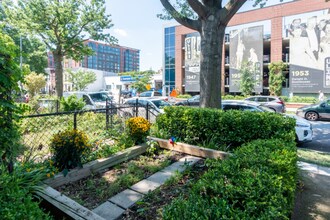 1139 3rd St NE in Washington, DC - Building Photo - Building Photo