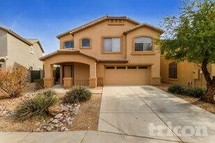 29459 N Blackfoot Daisy Dr in Queen Creek, AZ - Building Photo