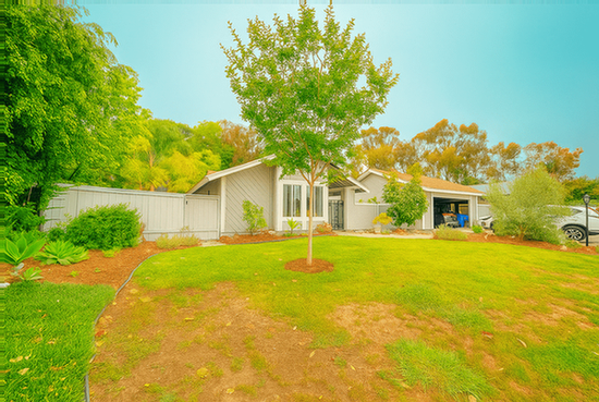 1029 Silver Stallion Dr
