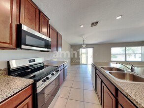 10116 Carloway Hills Dr in Wimauma, FL - Building Photo - Building Photo