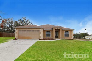 2319 Estill Ave in Spring Hill, FL - Building Photo