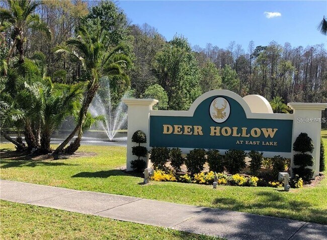 1400 Pine Glen Ln in Tarpon Springs, FL - Building Photo - Building Photo