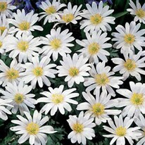 189 Sublimity School Rd in London, KY - Building Photo