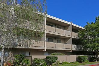 Mallard Creek Apartments in Sacramento, CA - Building Photo - Building Photo