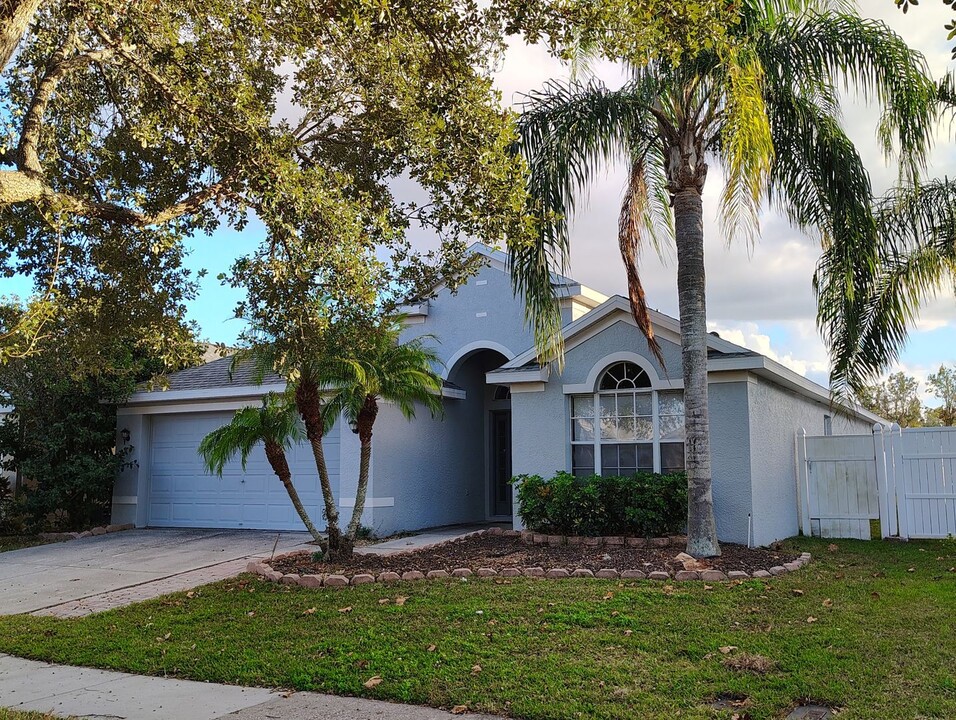 22709 Hawk Hill Loop in Land O Lakes, FL - Building Photo