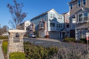 Promenade in San Mateo, CA - Building Photo