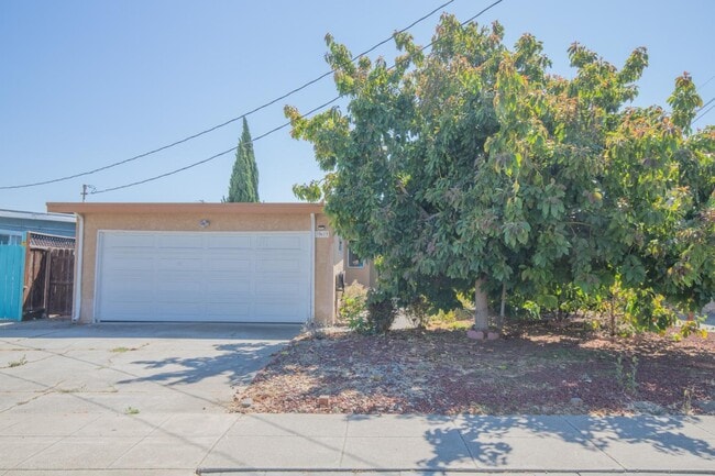 33613 14th St in Union City, CA - Building Photo - Building Photo