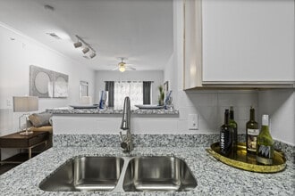 Vineyard Springs in San Antonio, TX - Building Photo - Building Photo