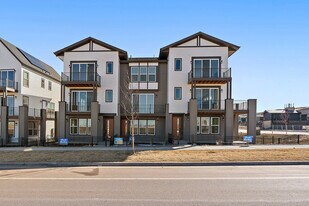 10882 Lyric St in Parker, CO - Building Photo