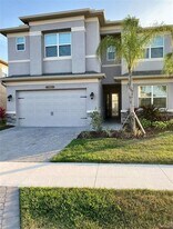 3101 Hollow Hickory Pl in Wesley Chapel, FL - Building Photo