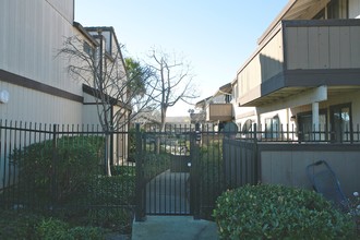 Summerhill Place in Union City, CA - Building Photo - Building Photo