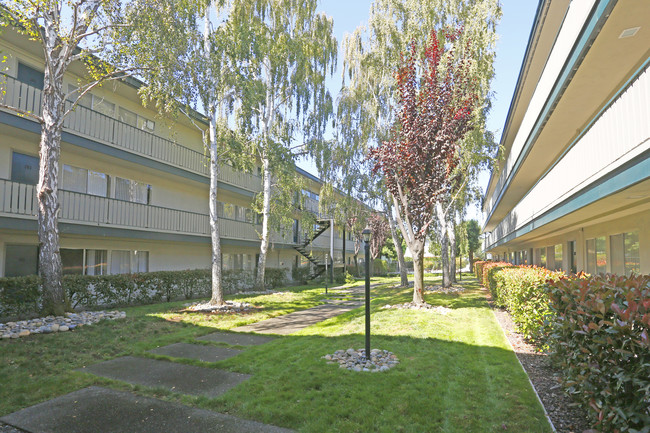 Del Medio Garden Apartments in Mountain View, CA - Foto de edificio - Other