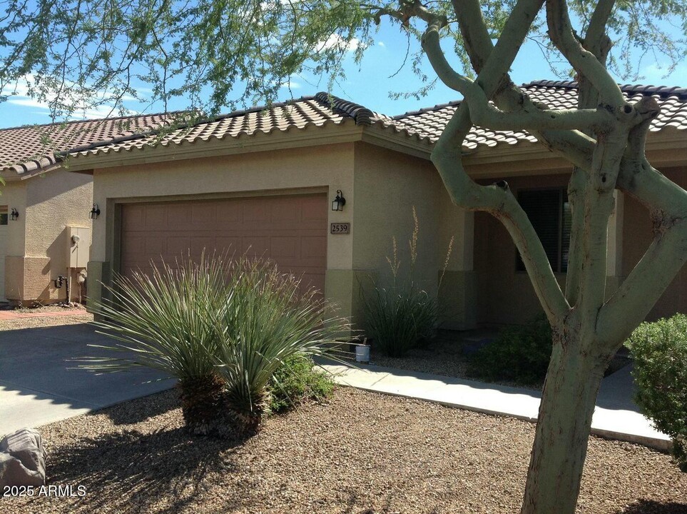 2539 W Bisbee Way in Anthem, AZ - Building Photo