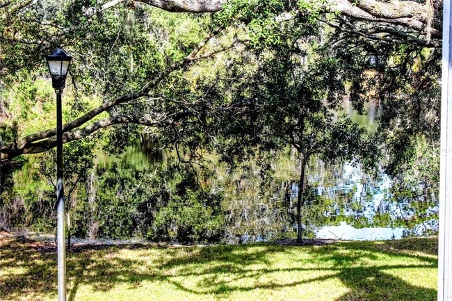 11808 Skylake Pl in Tampa, FL - Building Photo - Building Photo