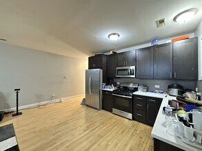 364 N Hamlin Ave in Chicago, IL - Building Photo - Building Photo