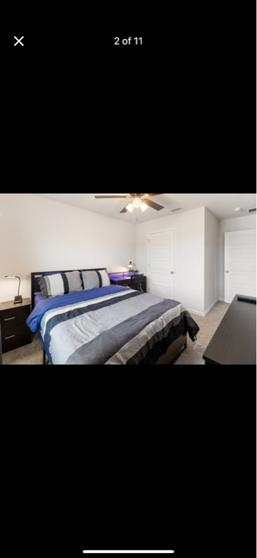 5748 Belmont Stakes Rd in Bellview, FL - Building Photo - Building Photo