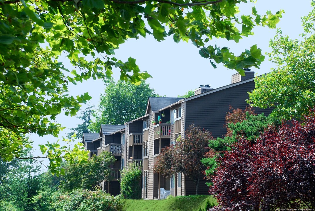 Bella Vista Apartments in Tacoma, WA - Building Photo