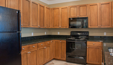 Greystone Luxury Apartments in Gainesville, FL - Building Photo - Building Photo