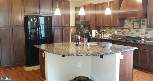 23267 April Mist Pl in Ashburn, VA - Building Photo - Building Photo