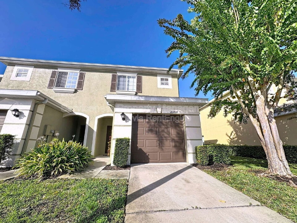 20424 Needletree Dr in Tampa, FL - Building Photo