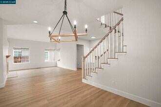 903 Arrowhead Terrace in Clayton, CA - Building Photo - Building Photo