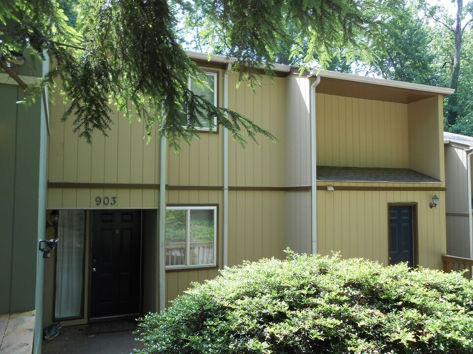 903 E Franklin St in Chapel Hill, NC - Building Photo