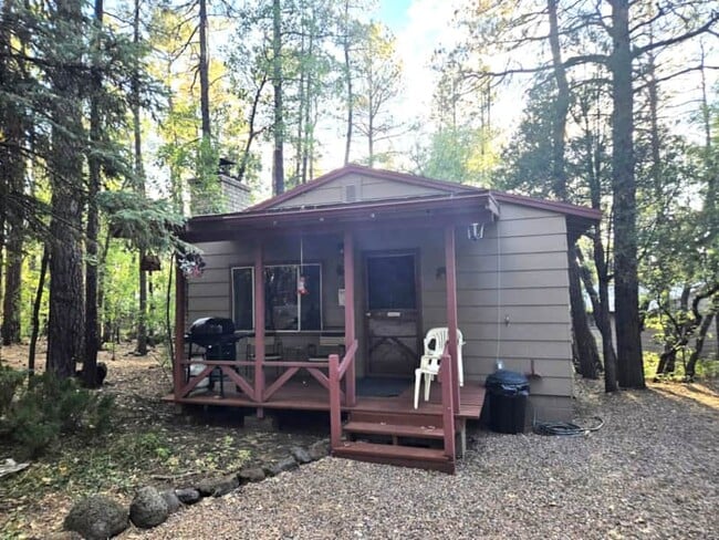 property at 165 E White Mountain Blvd